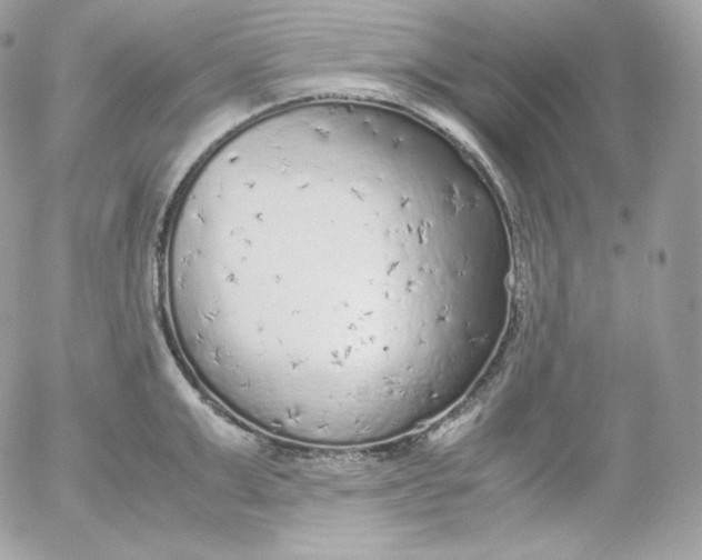 X0000052600999200507221629