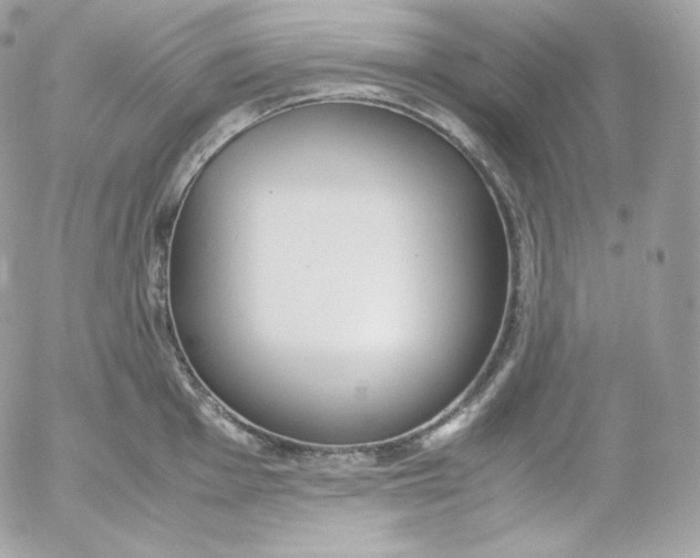 X0000052601001200507221629