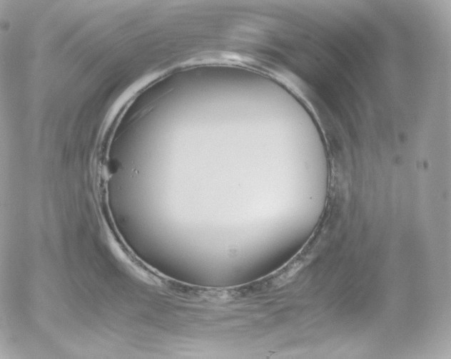 X0000052601003200507221629