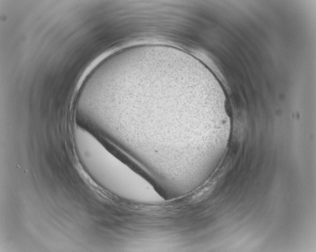 X0000052601004200507221629