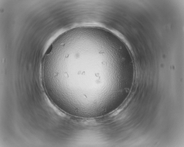 X0000052601006200507221629