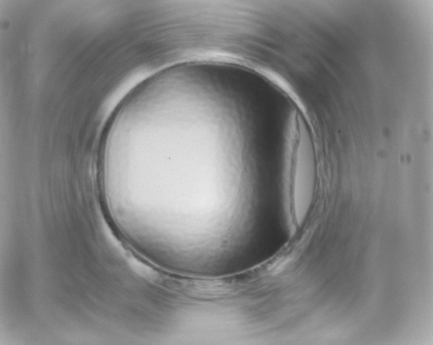 X0000052601007200507221629