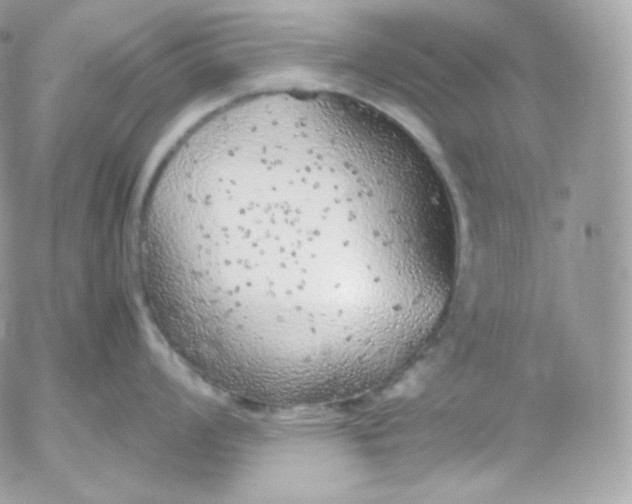 X0000052601008200507221629