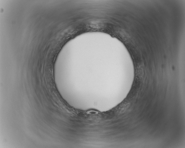 X0000052601009200507221628