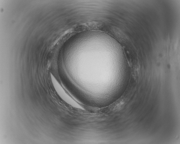 X0000052601010200507221628