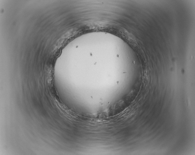 X0000052601012200507221628