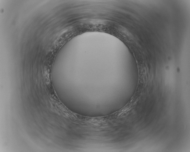 X0000052601013200507221628