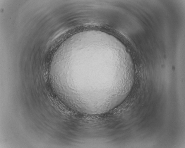 X0000052601015200507221628