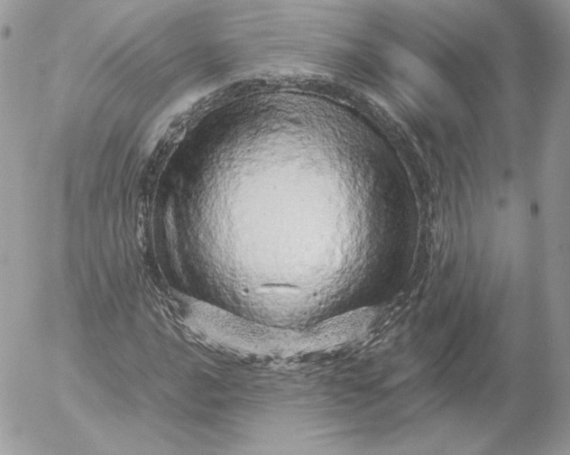 X0000052601016200507221628