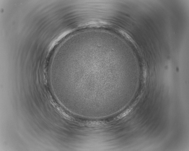 X0000052601018200507221628