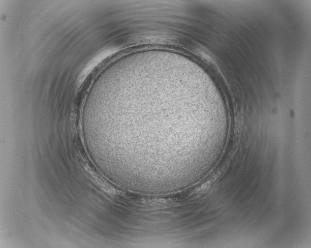 X0000052601019200507221628