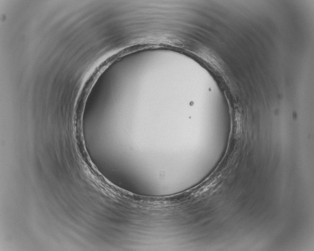 X0000052601020200507221628