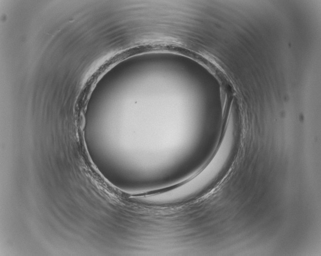 X0000052601022200507221628