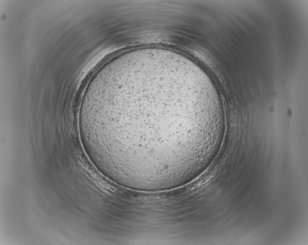 X0000052601023200507221628