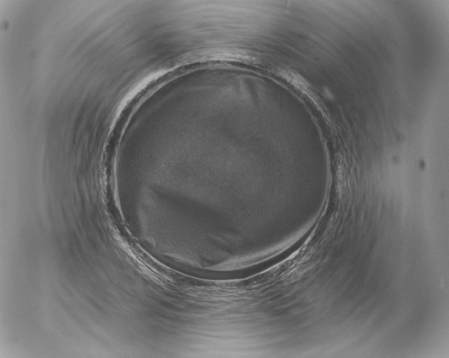 X0000052601024200507221628