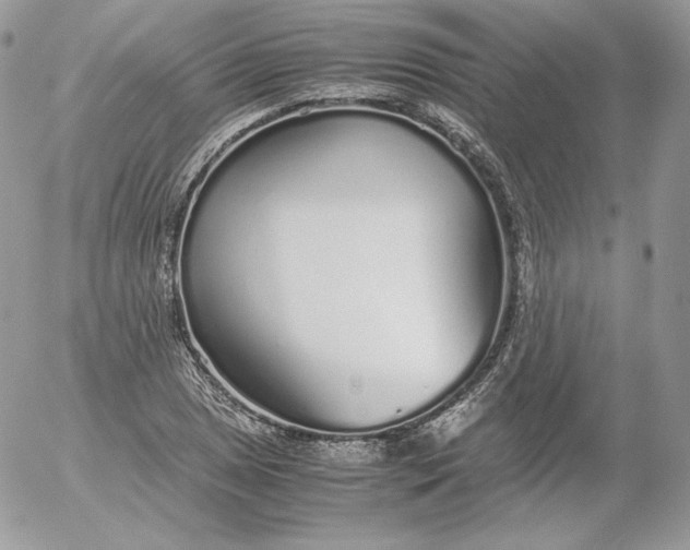 X0000052601025200507221628