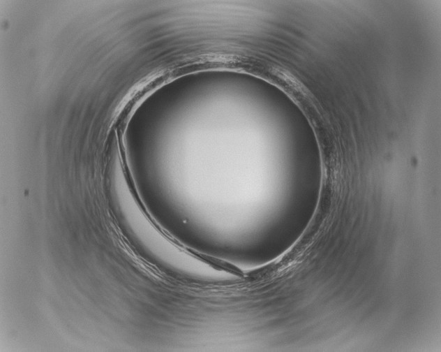 X0000052601026200507221628