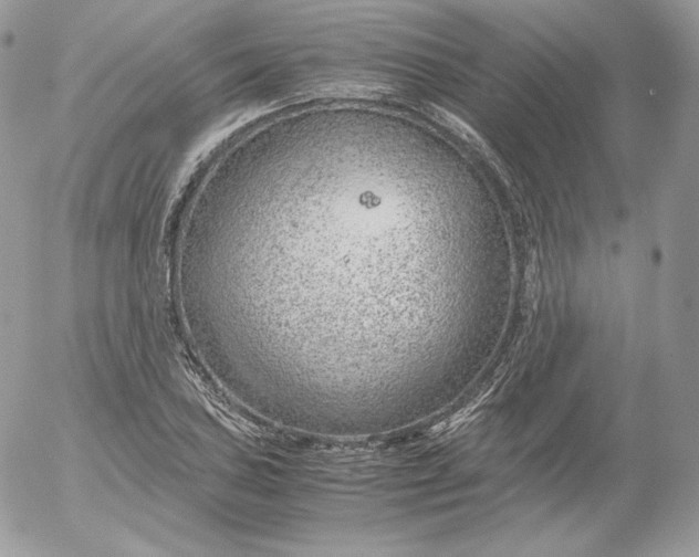 X0000052601027200507221628