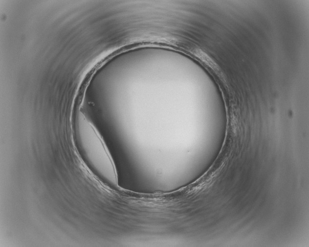 X0000052601028200507221628