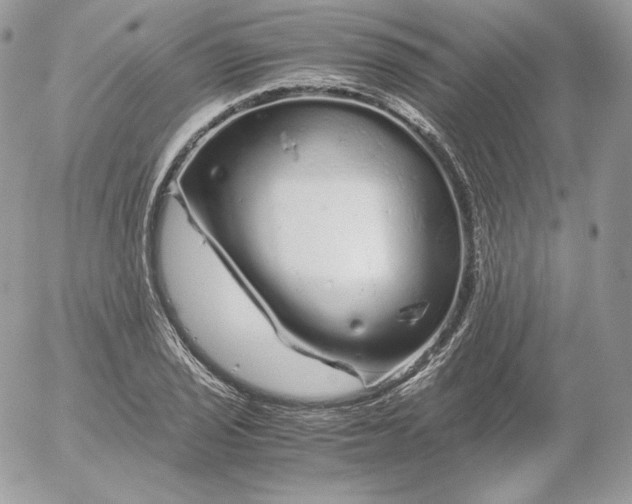 X0000052601029200507221628