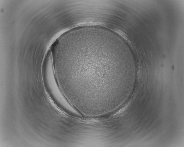 X0000052601030200507221628