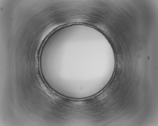 X0000052601031200507221629