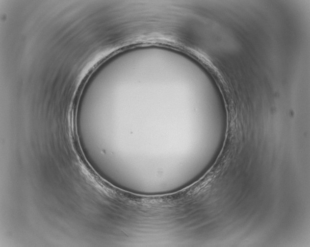 X0000052601032200507221629