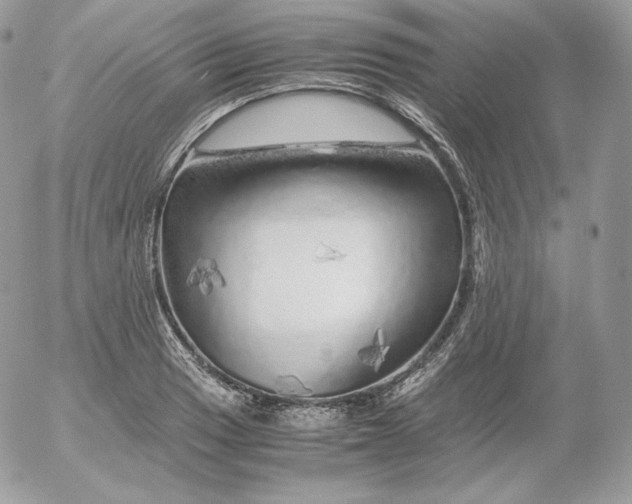 X0000052601033200507221629