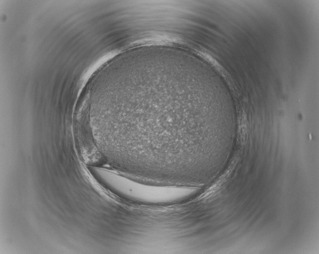 X0000052601034200507221629