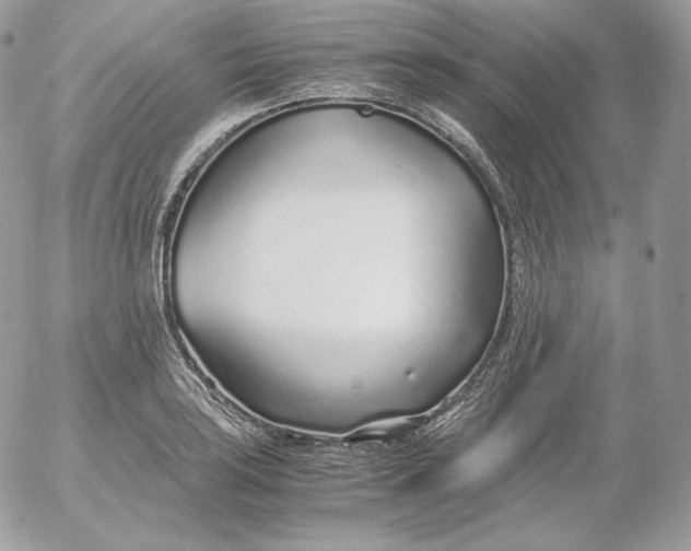 X0000052601035200507221629