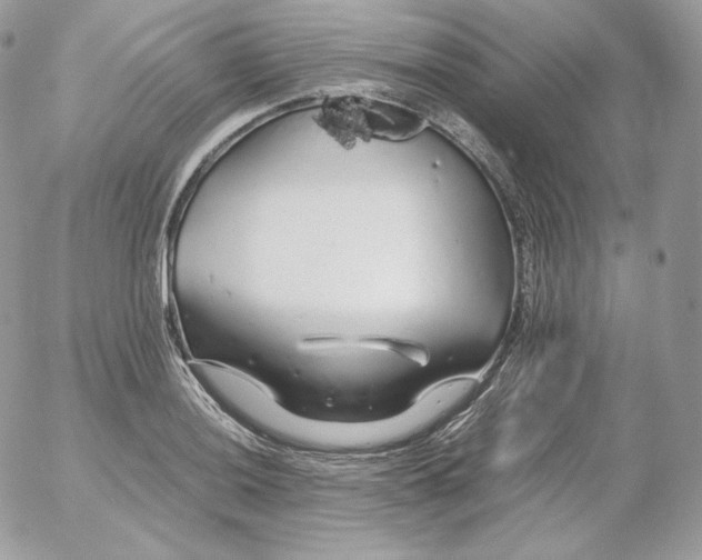 X0000052601036200507221629