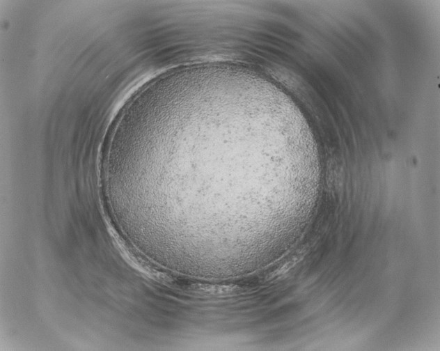 X0000052601039200507221629