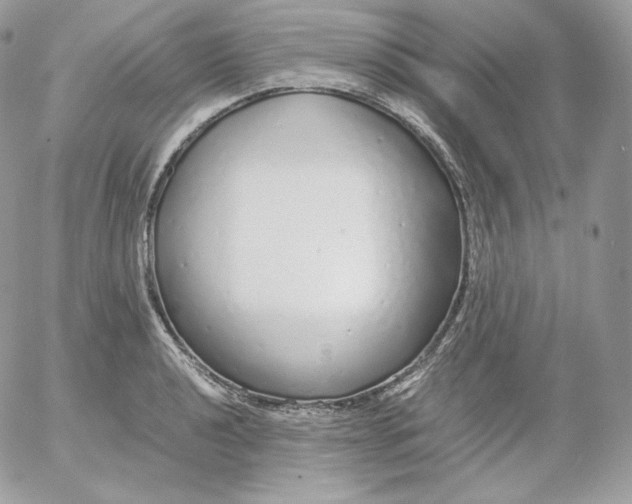 X0000052601040200507221629