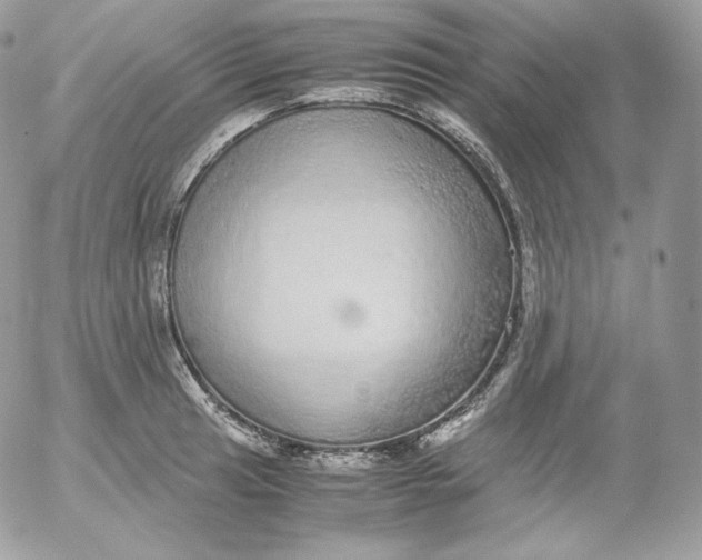 X0000052601041200507221629