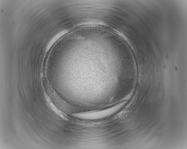 X0000052601042200507221629