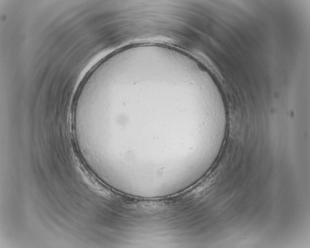 X0000052601044200507221629