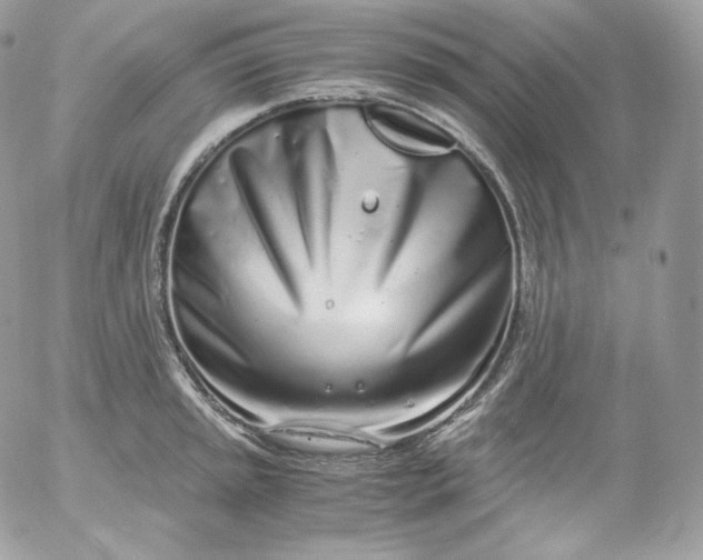 X0000052601045200507221629