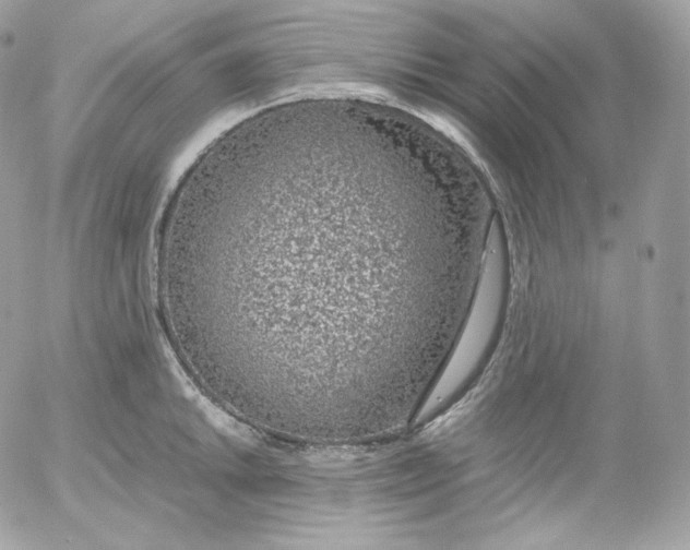 X0000052601046200507221629