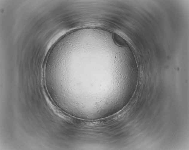 X0000052601047200507221629