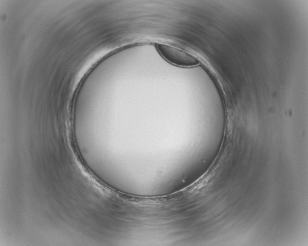 X0000052601048200507221629