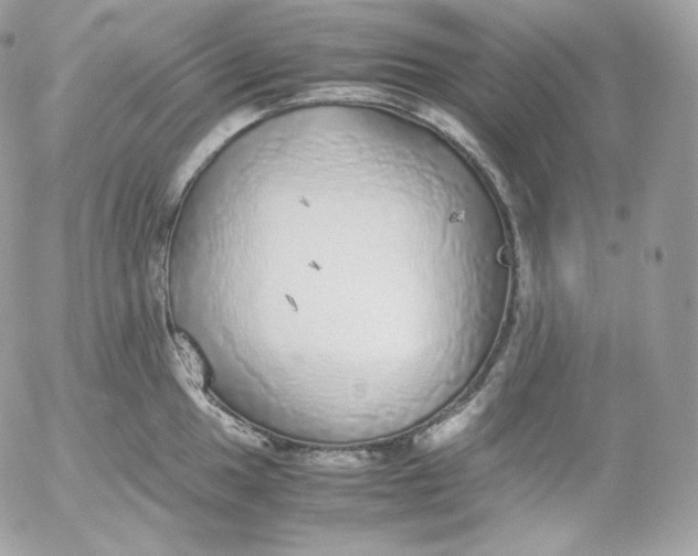 X0000052601049200507221629