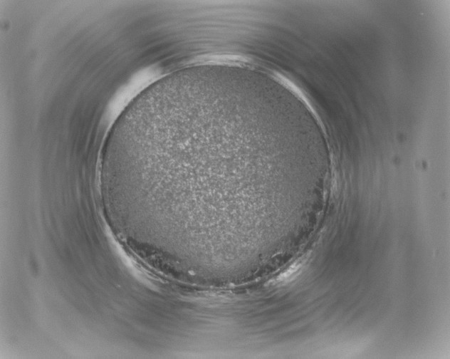 X0000052601050200507221629