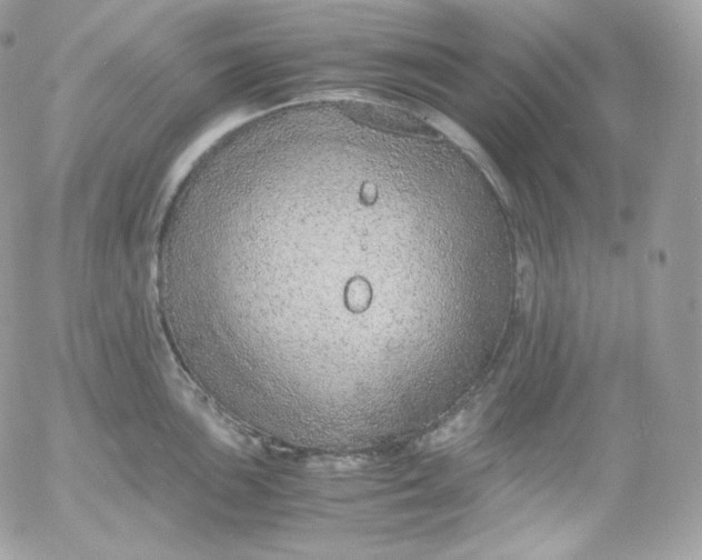 X0000052601051200507221629