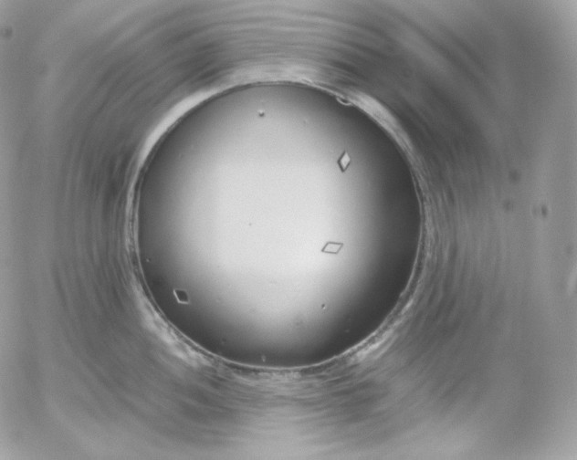 X0000052601052200507221629