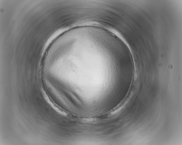 X0000052601053200507221629