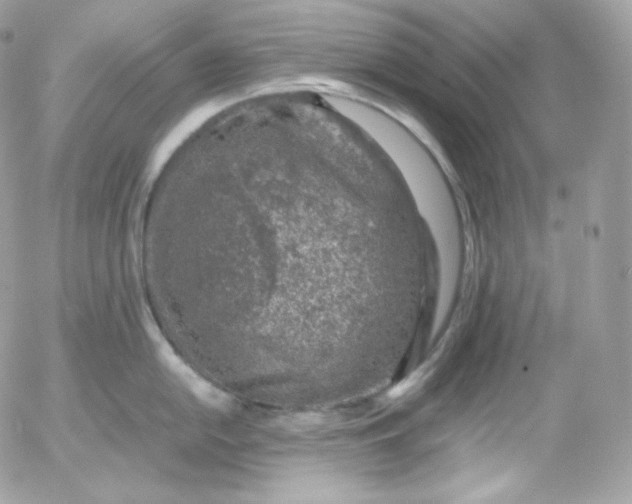 X0000052601054200507221629