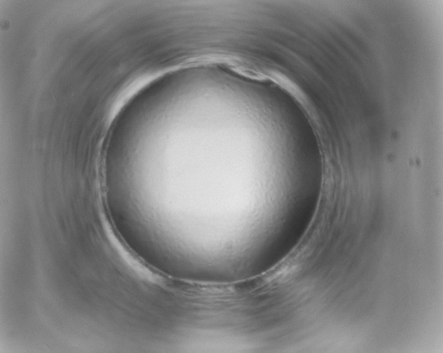 X0000052601055200507221629