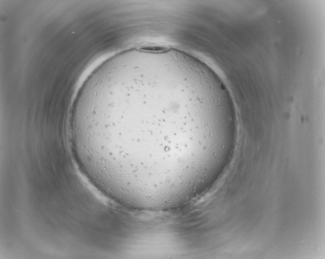 X0000052601056200507221629