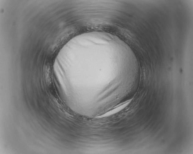 X0000052601060200507221628