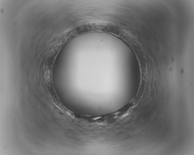 X0000052601061200507221628